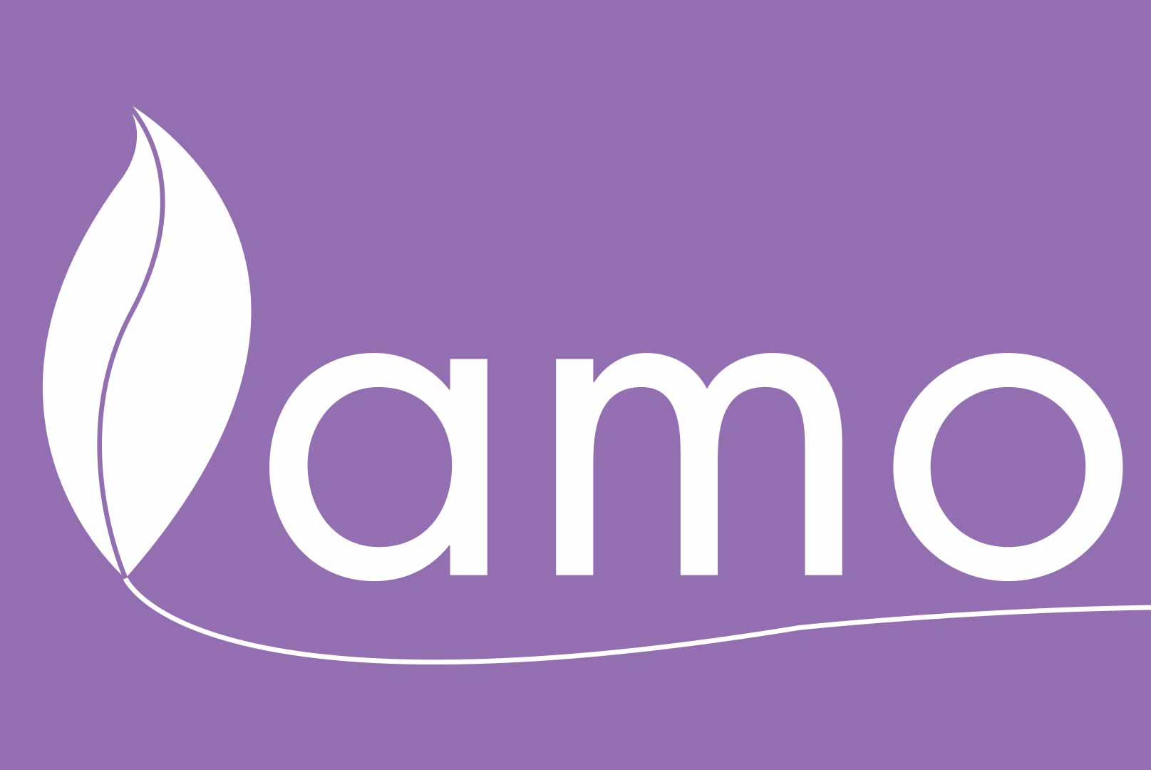 Amoda mx logo.