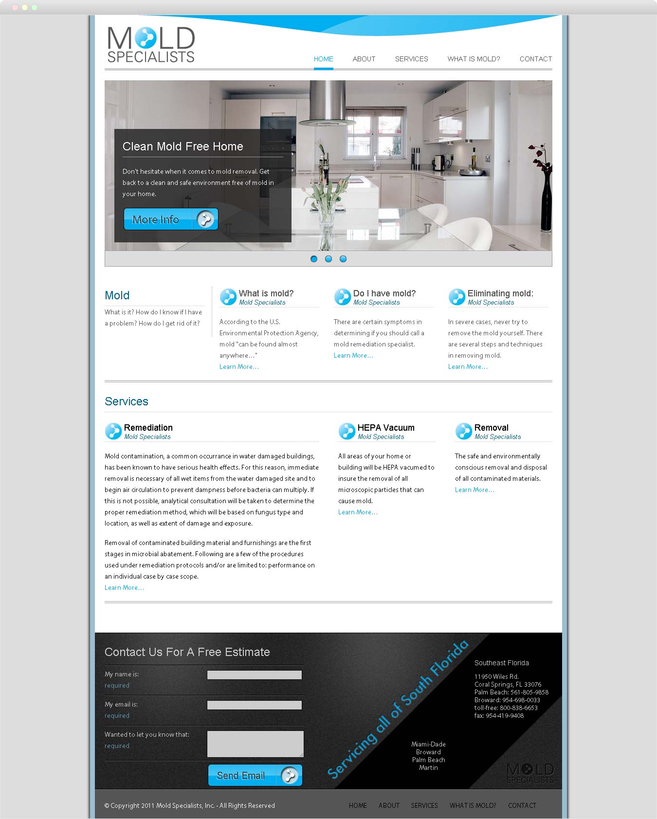 screen shot of full Mold Specialist home page